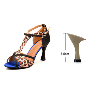 Ladingwu Pantofi de dans Latină Femei Salsa Pantofi de dans Fete Performanță de petrecere Pantofi de dans profesionali Soft Bottom Ballroom