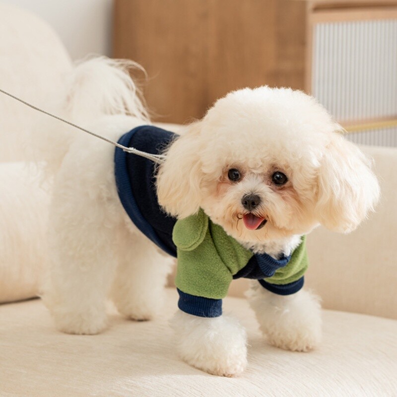 Зимни дрехи за домашни кучета Модни качулки за кучета Сладък суичър Puppu Меки топли пуловери за котки Качулки за домашни любимци Костюми за куче френски булдог