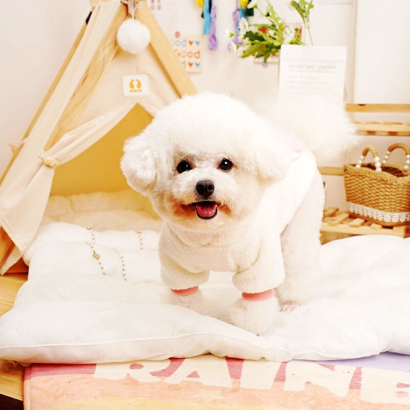 Haine pentru câini de toamnă pentru animale de companie Hanorace pentru câini iepure de desene animate