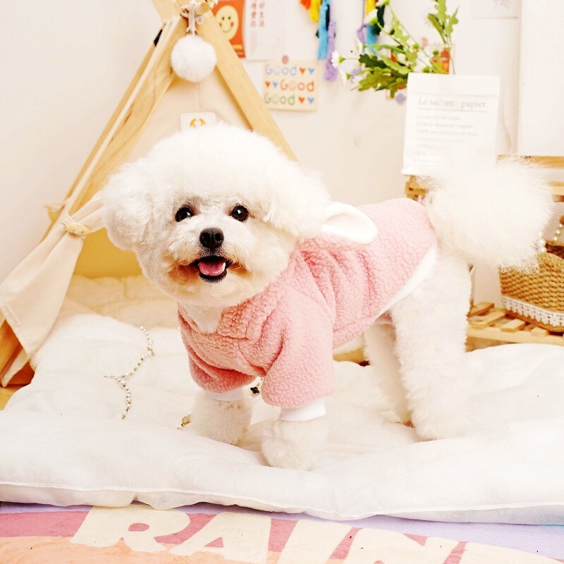 Haine pentru câini de toamnă pentru animale de companie Hanorace pentru câini iepure de desene animate