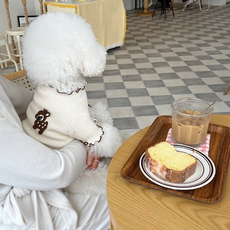 Kevad-suvi uus lemmiklooma koer kass valge T-särk Bichon Teddy/Pomeranian kutsikate riided Lemmiklooma riided