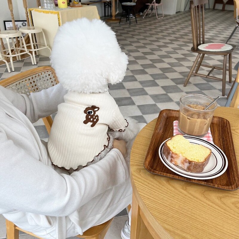 Kevad-suvi uus lemmiklooma koer kass valge T-särk Bichon Teddy/Pomeranian kutsikate riided Lemmiklooma riided