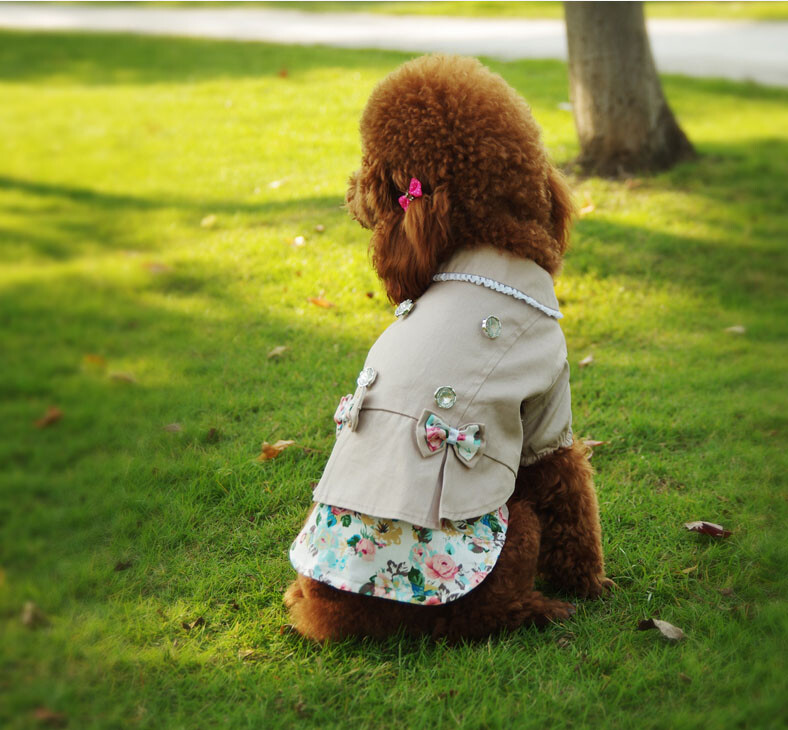 XKSRWE Rochie pentru câini, pisici, cu funde, haină pentru cățeluș, jachetă, haine de primăvară/toamnă, îmbrăcăminte