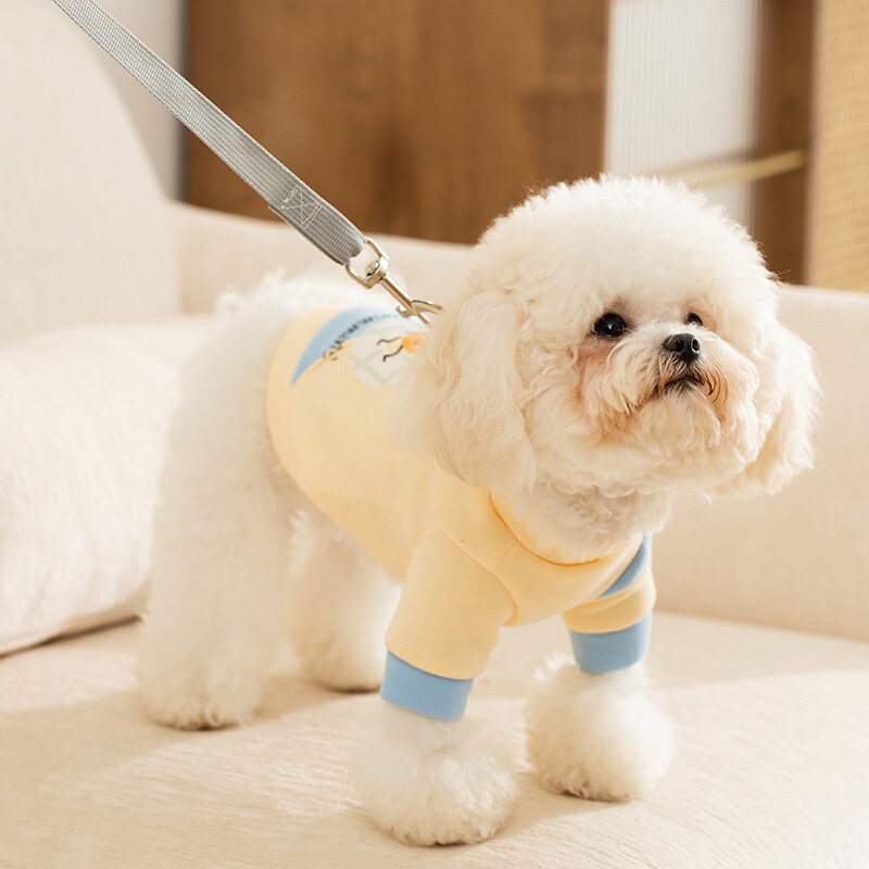 Slatka odjeća za pse Jesenska majica s kapuljačom za pse s modnim printom Puppy Sweatshirt Meka topla majica s kapuljačom za mačke Puloveri za kućne ljubimce Odjeća za pse čivave