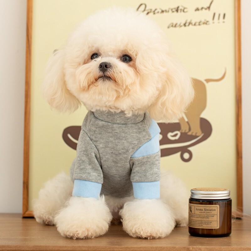 Slatka odjeća za pse Jesenska majica s kapuljačom za pse s modnim printom Puppy Sweatshirt Meka topla majica s kapuljačom za mačke Puloveri za kućne ljubimce Odjeća za pse čivave