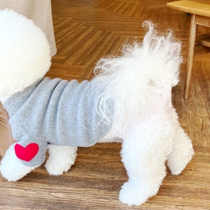 Hanorace pentru câini de modă Haine de toamnă pentru câini pentru câini de talie mică Pulover drăguț și solid pentru cățeluș Hanorace moi pentru pisici Hanorac pentru animale de companie Haine chihuahua