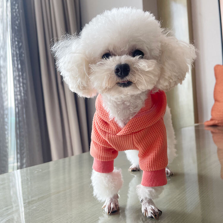 Hoodie s kapuljačom od slatkiša za pse Odjeća za kućne ljubimce Jesen Zima Vafl Pamučni džemper Teddy Bichon Odjeća za debele pse Odjeća za mačke Odjeća za mačke Kostim za pse Predmeti za kućne ljubimce