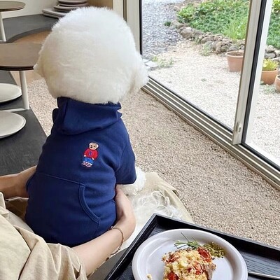 Hanorace pentru câini Haina pentru câini Haina pentru câini de iarnă Îmbrăcăminte caldă pentru animale de companie pentru câine Hanorac pentru cățeluș Chihuahua Costum de buldog francez
