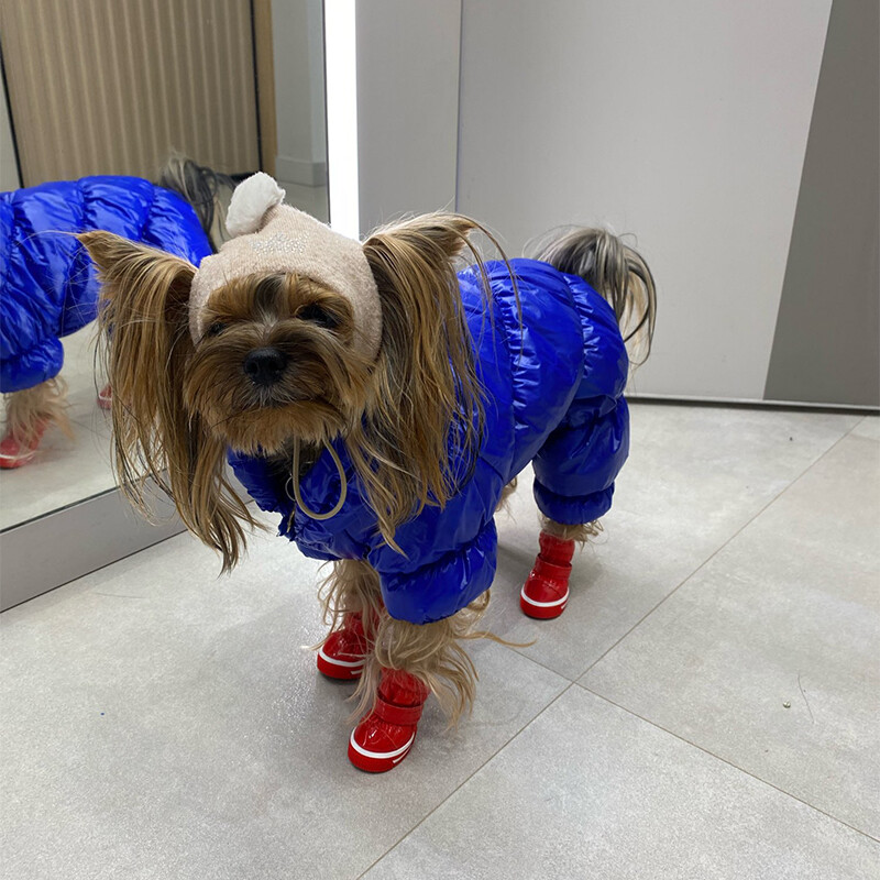 Zimske cipele za pse Vodootporne neklizajuće čizme za snijeg za male pse Obuća za kišu Vanjske tenisice za štene Dodaci za mopse 4kom/komplet