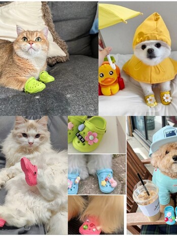 Korea Ins Pet Cats and Dogs Mini Cave παπούτσια Χαριτωμένα παιχνίδια Παντόφλες φωτογραφιών στηρίγματα Κρεμαστά διακοσμητικά σκυλιά Αξεσουάρ για κατοικίδια