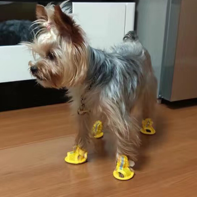 4Pcs/Set Sandale za kućne ljubimce Ljetni pribor za šetanje pasa Mrežaste prozračne cipele za male pse Pomeranski šnaucer Štene buty dla psa