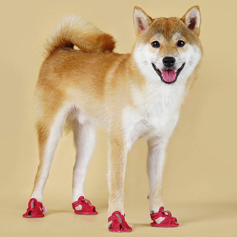 4Pcs/Set Sandale za kućne ljubimce Ljetni pribor za šetanje pasa Mrežaste prozračne cipele za male pse Pomeranski šnaucer Štene buty dla psa