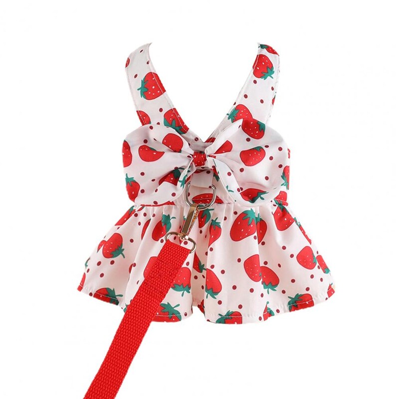 Simpatična haljina za pse, ljetne aktivnosti na otvorenom i set uzica s mašnom, haljina za ljubimce, mačke, princeze za proljeće