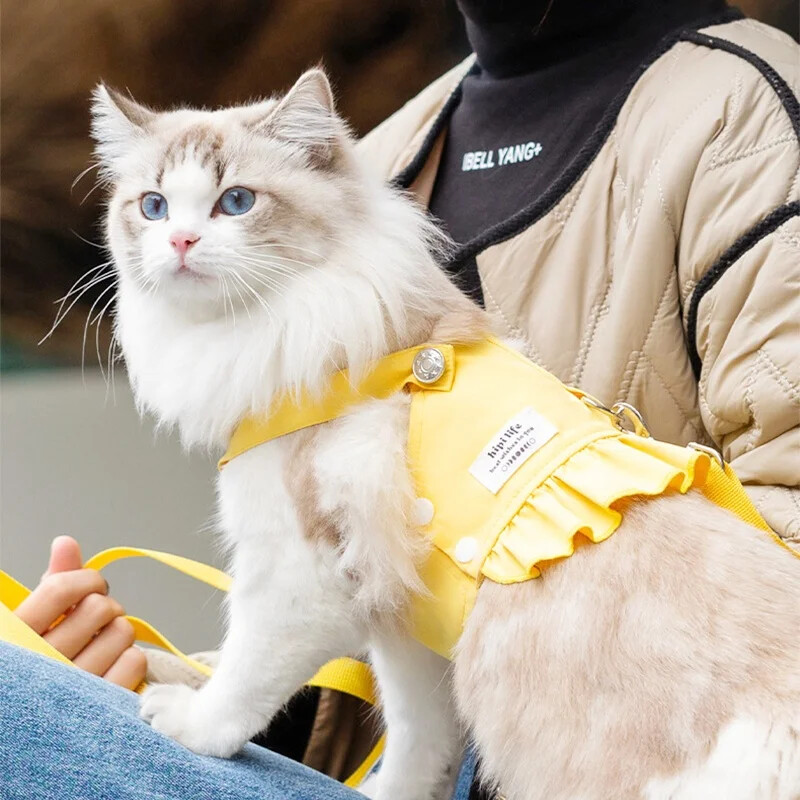Haljina za pseću princezu, slatki pas, mrežasta haljina, mačić, štene, suknja za kućne ljubimce, ljetna haljina za pse, mašna, čipka, korejska pudla, odjeća za čivavu