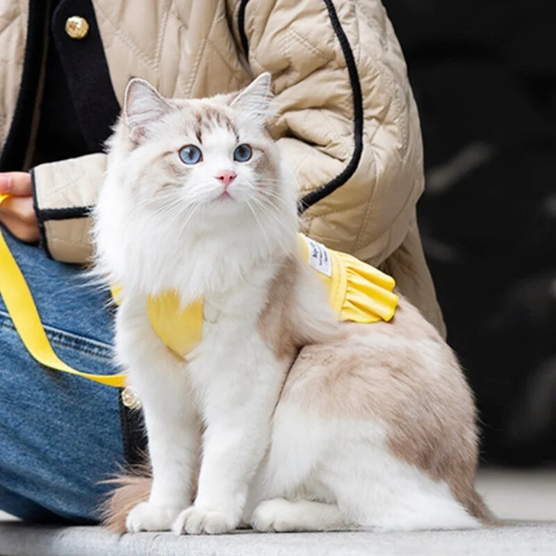 Haljina za pseću princezu, slatki pas, mrežasta haljina, mačić, štene, suknja za kućne ljubimce, ljetna haljina za pse, mašna, čipka, korejska pudla, odjeća za čivavu