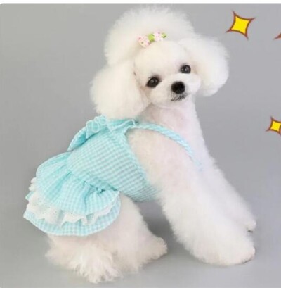 Roosa sinine lemmikloomade buldogi kleit Kevadsuvine peo seelik Teddy Prantsuse kassi kleit