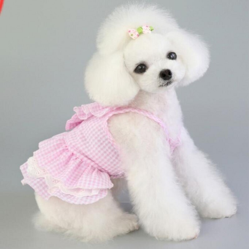 Ružičasto plava haljina za buldoga za kućne ljubimce proljeće ljeto suknja za zabavu Teddy francuska mačka haljina