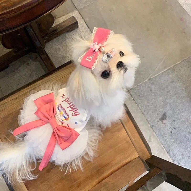 Haljine za pse za male pse Odjeća Ljetna haljina za princezu za kućne ljubimce Leptir leptir Tanka Nova plima