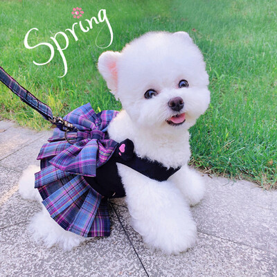 Bowknot câine pisică rochie haine și ham lesă pentru rase mici câini de lux pentru animale de companie vestă curea de plumb fustă chihuahua buldog francez