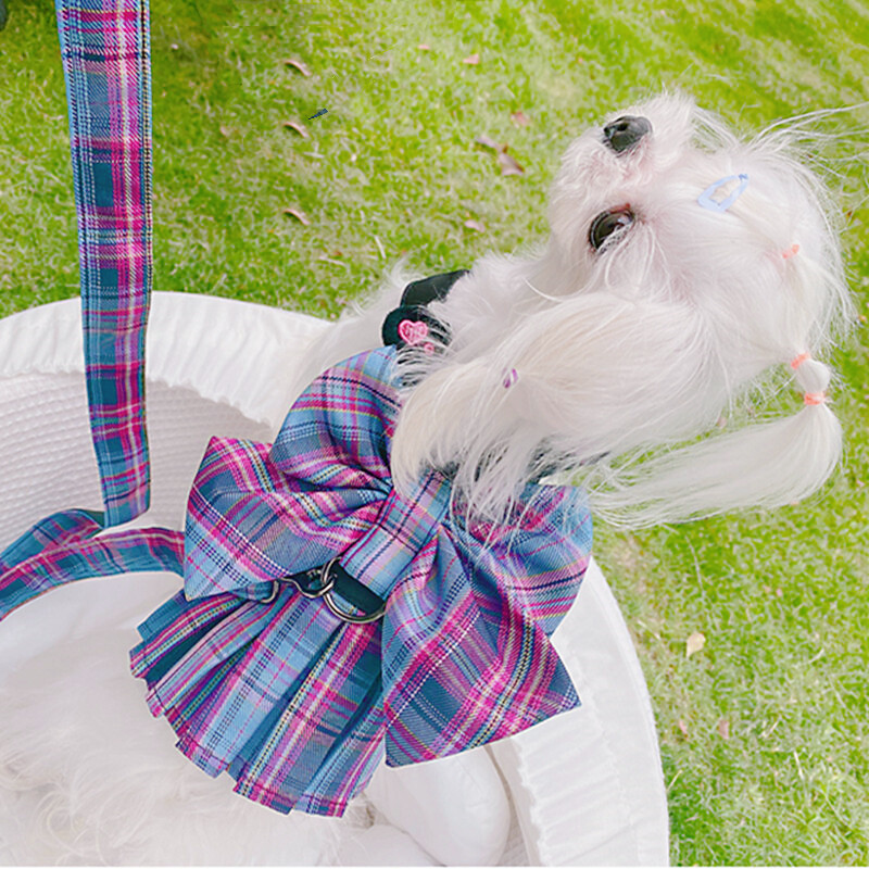 Haljina s mašnom za pse i mačke Odjeća i remen Povodac za male pasmine pasa Luksuzni prsluk za kućne ljubimce Traka za olovo Suknja za čivavu Francuski buldog