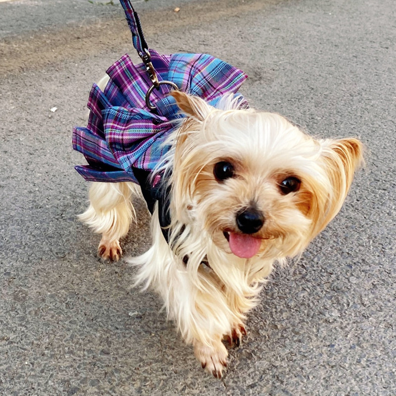 Haljina s mašnom za pse i mačke Odjeća i remen Povodac za male pasmine pasa Luksuzni prsluk za kućne ljubimce Traka za olovo Suknja za čivavu Francuski buldog