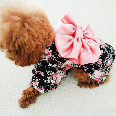 Nova moda Tradicionalni izvezeni stil kimona s mašnom, kućni ljubimac, pas, kostim za djevojčice, jakna, komplet kostima za djevojčice