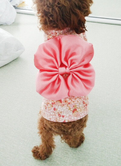 Nova moda Tradicionalni izvezeni stil kimona s mašnom, kućni ljubimac, pas, kostim za djevojčice, jakna, komplet kostima za djevojčice