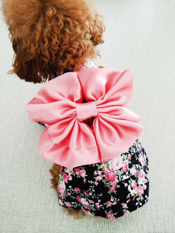 Nova moda Tradicionalni izvezeni stil kimona s mašnom, kućni ljubimac, pas, kostim za djevojčice, jakna, komplet kostima za djevojčice