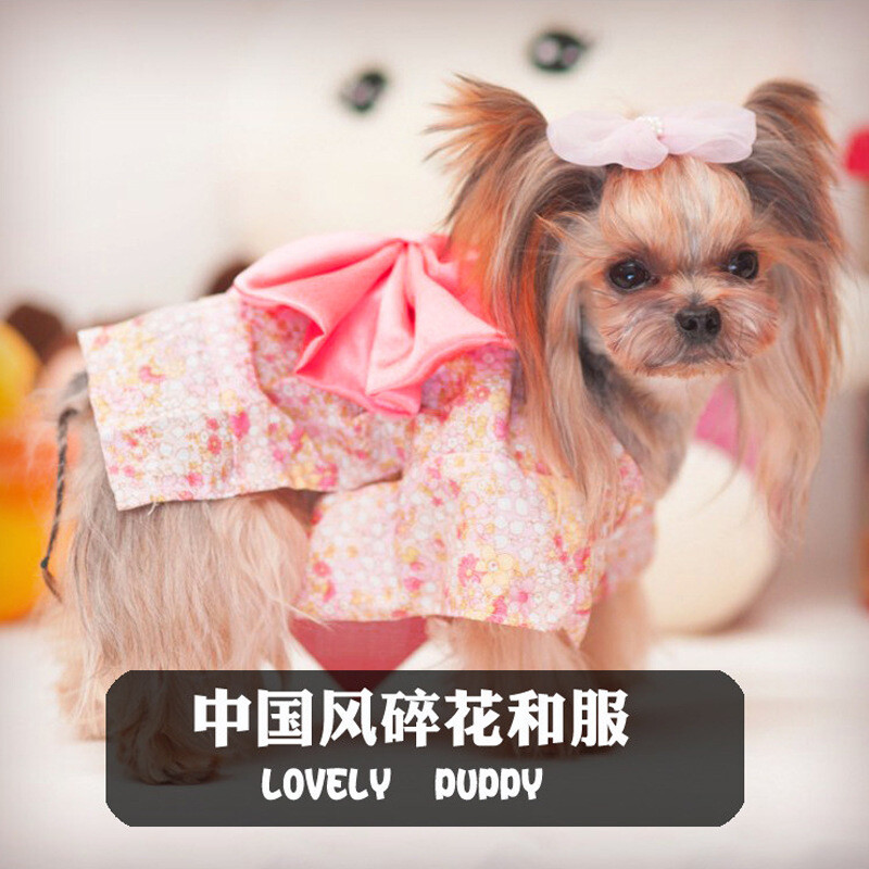 Nova moda Tradicionalni izvezeni stil kimona s mašnom, kućni ljubimac, pas, kostim za djevojčice, jakna, komplet kostima za djevojčice