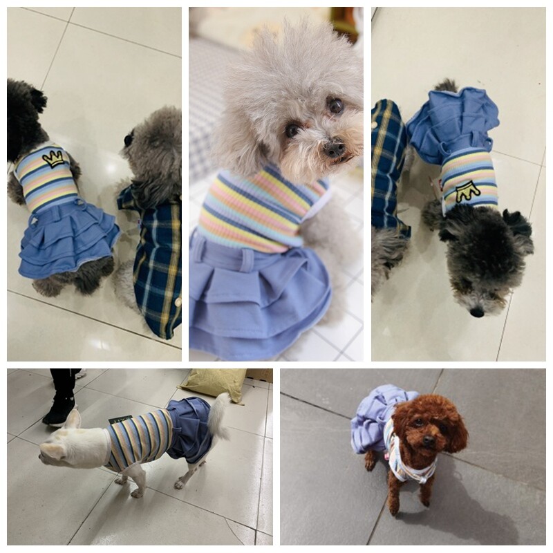 Slatka djevojka Haljina za ljubimca Pas Princeza Za male pse Proljeće Jesen Štene Mačka Suknja Chihuahua Yorkie Odijelo s prslukom Odjeća Odjeća