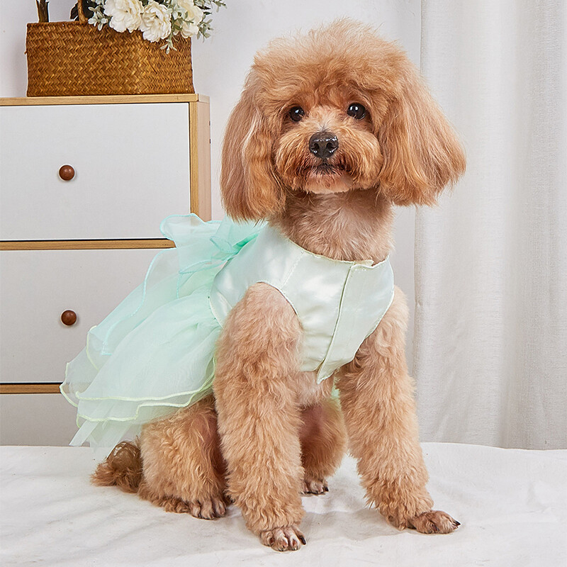 Luksuslikud koerriided pulmakleit ballipidu printsessikleidid väikestele koertele kutsika kassi kostüüm, valge lemmikloomatarbed