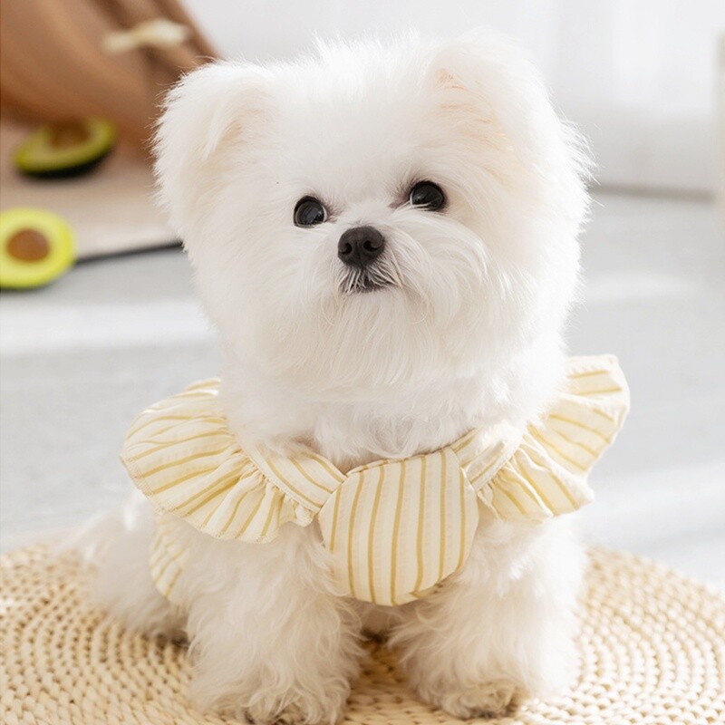 Haljina princeze za pse za kućne ljubimce Ljetna prugasta suknja za pse Slatko mekano štene Traka za prsa Modna haljina za mačke Odjeća za pse čivave Nabavke za kućne ljubimce