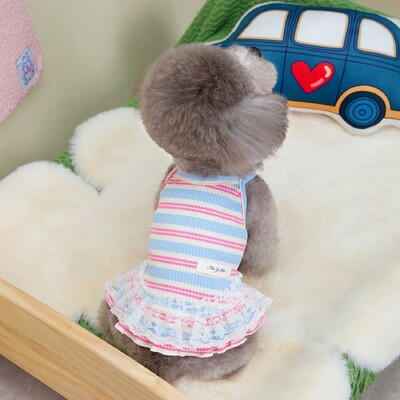 Ljetna odjeća za kućne ljubimce Elegantna haljina za pse male pasmine Kućni ljubimac Kratka suknja Pomeranac Jednodijelni Ropa Perro kostim Roupa Vestido