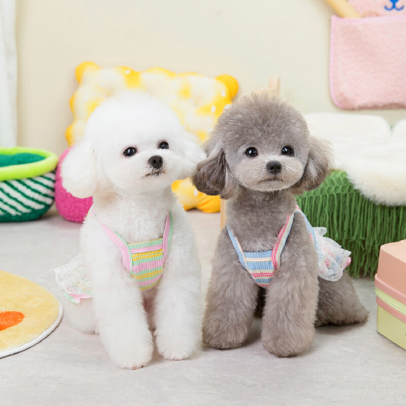 Ljetna odjeća za kućne ljubimce Elegantna haljina za pse male pasmine Kućni ljubimac Kratka suknja Pomeranac Jednodijelni Ropa Perro kostim Roupa Vestido