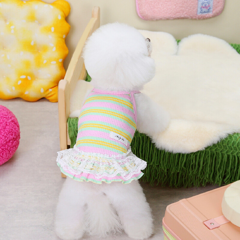 Ljetna odjeća za kućne ljubimce Elegantna haljina za pse male pasmine Kućni ljubimac Kratka suknja Pomeranac Jednodijelni Ropa Perro kostim Roupa Vestido