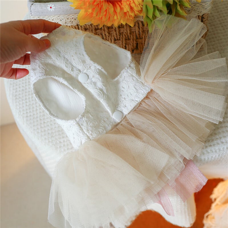 Luksuzna haljina za mačke i pse, čipkasta odjeća za kućne ljubimce s mašnama, psići bez rukava, suknja za male pse, maturalne haljine za Chihuahua