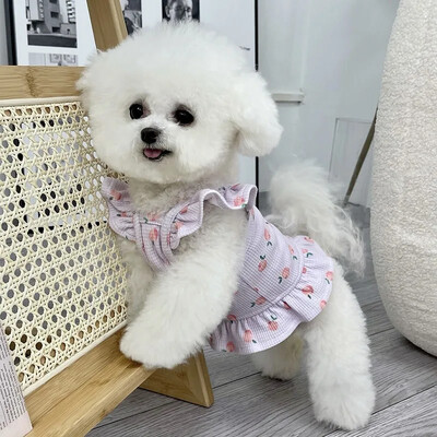 Lemmikloomakutsika riided Armas printsess Kleit Kevadsuvi Pehme Magus Lendav Varrukad Seelik Lemmikloomariided