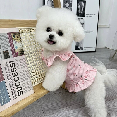 Lemmikloomakutsika riided Armas printsess Kleit Kevadsuvi Pehme Magus Lendav Varrukad Seelik Lemmikloomariided