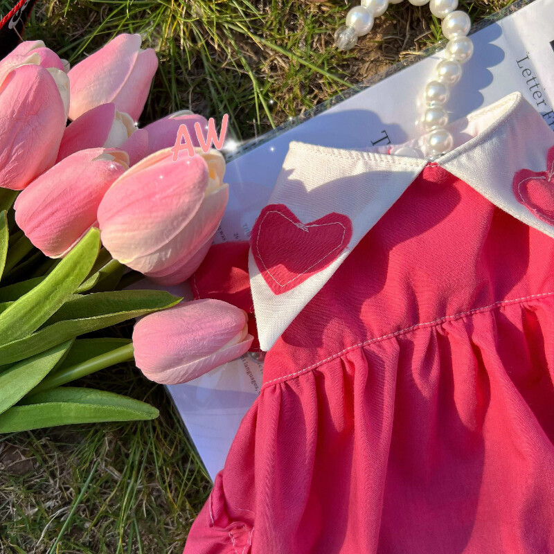 Mood Südakleit Kutsikas Koer Riided Armsad Väikesed Koerad Riietus Lemmikloomarõivad Armsad Kevadsuvi Roosa Tüdrukute Hingav Puudel