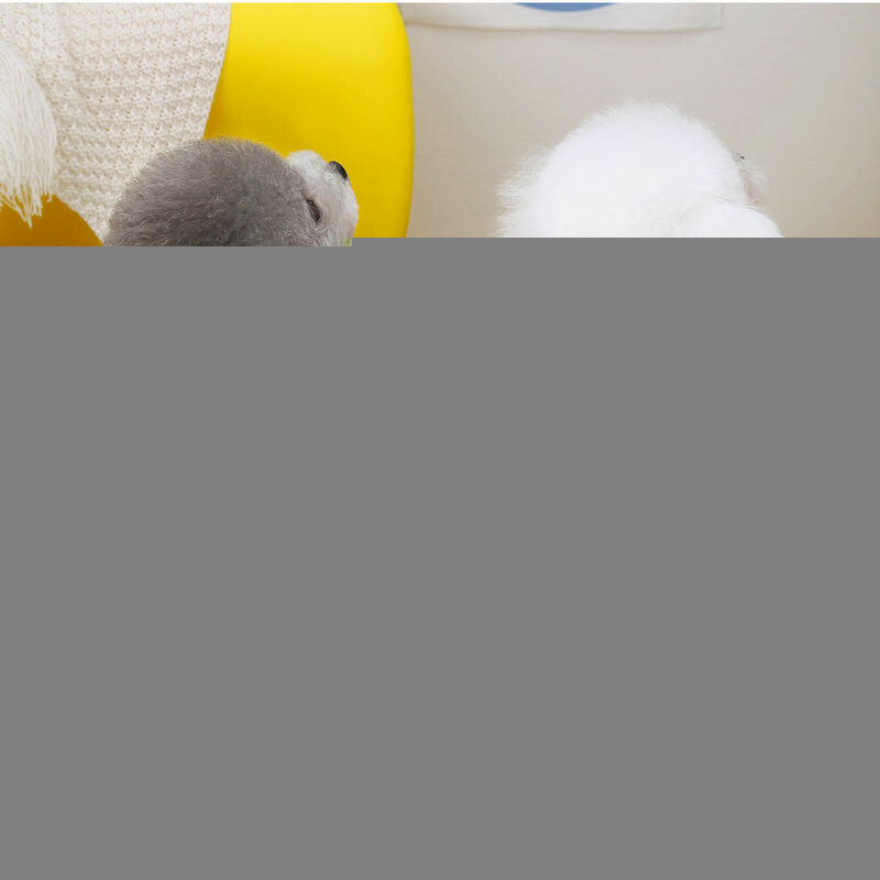 Haljina za ljubimce Jagoda Ljetna odjeća za pse Luksuzni prsluk za pse Suknja s tregerima Košulja za hlađenje psa Bichon Chihuahua Odjeća za pse