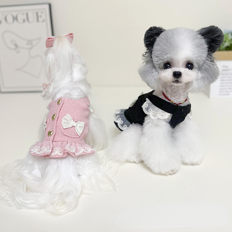 Rochie pentru pisici și câini pentru animale de companie, primăvară, toamnă, iarnă, dantelă, cataramă inimă, bretele, haine pentru câini pentru câini de talie mică.