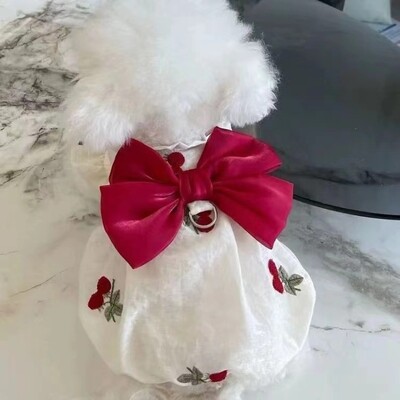 Haine pentru câini de vară Flori brodate Fusta din tifon dovleac respirabil Îmbrăcăminte pentru câini Fusta cu bule Teddy fundă subțire Rochii pentru cățeluș