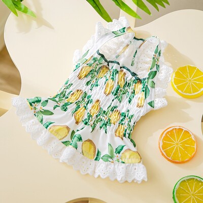 Καλοκαιρινά ρούχα για σκύλους για κατοικίδια Μόδα Φόρεμα για σκύλους Πριγκίπισσα Γλυκά φορέματα για κουτάβια καρό τύπωμα Ζαρτιέρες γάτας Προϊόντα για κατοικίδια Ένδυση για σκύλους