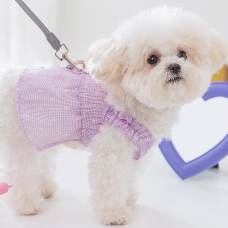Ljetna odjeća za pse, modna haljina za pse, princeze, slatke haljine za psiće, karirana suknja s naramenicama za mačke, proizvodi za kućne ljubimce Odjeća za pse