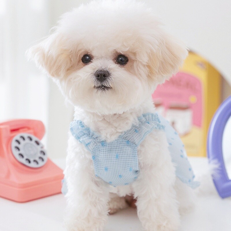 Ljetna odjeća za pse, modna haljina za pse, princeze, slatke haljine za psiće, karirana suknja s naramenicama za mačke, proizvodi za kućne ljubimce Odjeća za pse