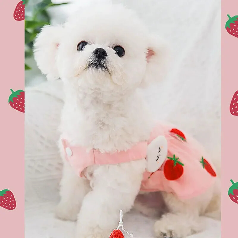 Ljetna haljina za pse za male pse Luksuzna odjeća Chihuahua Francuski buldog Bichon Kostim Odjeća za kućne ljubimce Prsluk Puppy Suknja