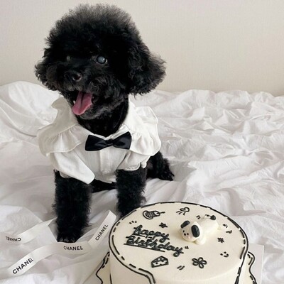 Haljina za kućne ljubimce za pse, male pse, ljetna karirana suknja s naramenicama za kućne ljubimce, haljina za princezu slatke mačke, luksuzna košulja za kućne ljubimce, odjeća za pse čivavu