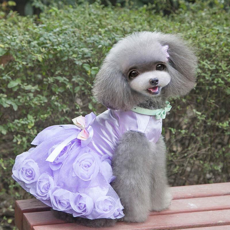 Rose Tutu Puppy Cat Ljetna Suknja Elegantne Pet Dog Party Dress Vjenčanice za Male Psi Slatka Bowknot Princess Dog Odjeća