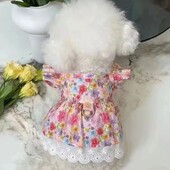 Suvised lemmikloomakoera riided Punased lillelised kutsikate kleidid vibu printsessi kleit Kaisukaru koera kass õhuke rihm kutsikas seelik väike koer