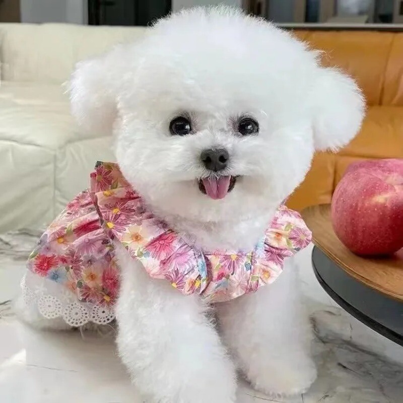 Suvised lemmikloomakoera riided Punased lillelised kutsikate kleidid vibu printsessi kleit Kaisukaru koera kass õhuke rihm kutsikas seelik väike koer